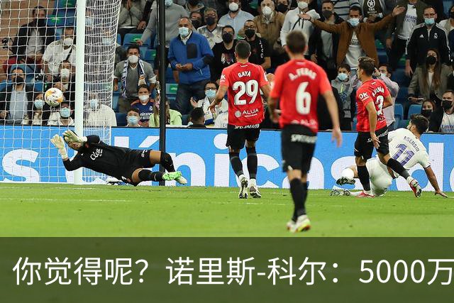 你觉得呢？诺里斯-科尔：5000万+2个冠军比赚4亿没冠军好